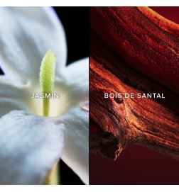 Samsara - Eau de Parfum Samsara - Eau de Parfum